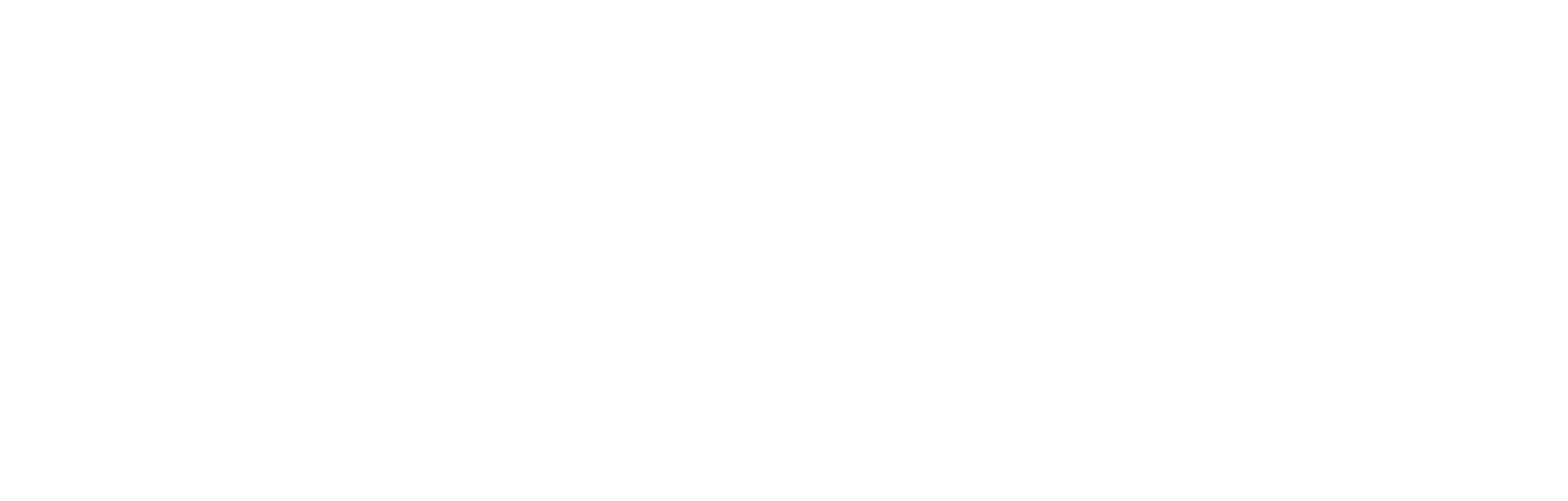 IVORY FUTURE